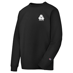 CHAMPION UNISEX LONG SLEEVE T-SHIRT